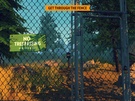 Review Firewatch