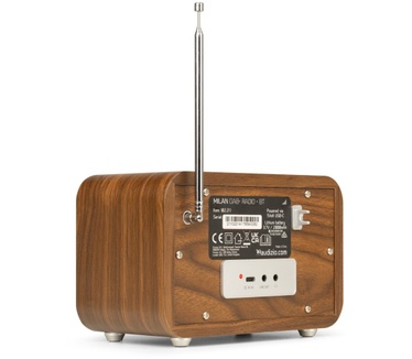 Audizio Milan