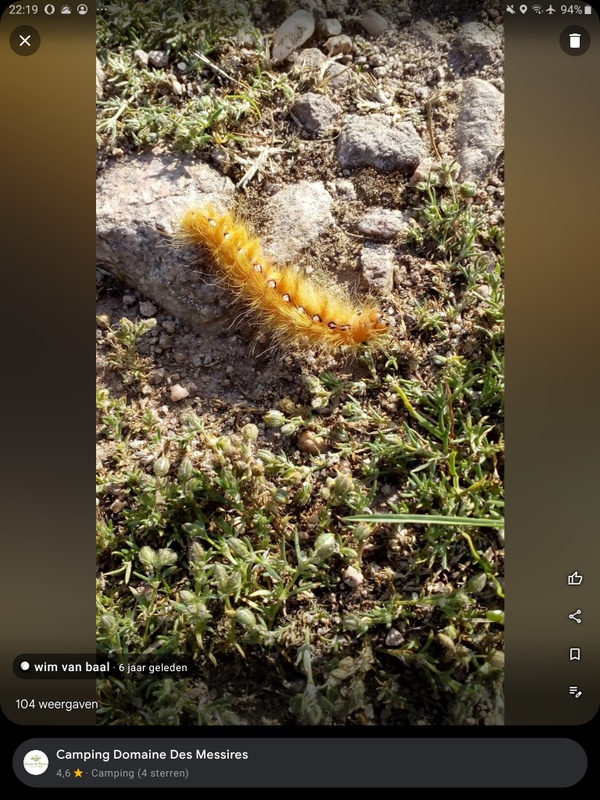 Afbeeldingslocatie: https://tweakers.net/i/1LvUGiTRNqLwpKzxwa4gTnOLtxA=/x800/filters:strip_icc():strip_exif()/f/image/yv0KjnMgeuHoUBbOTHKvQfR3.jpg?f=fotoalbum_large