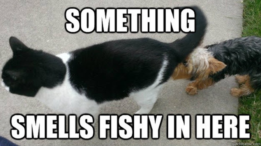 Afbeeldingslocatie: https://tweakers.net/i/1Md1dbDzuSqzDZd7Il2osWtinos=/full-fit-in/4920x3264/filters:max_bytes(3145728):no_upscale():strip_icc():fill(white):strip_exif()/f/image/hpPmvlPvU8W8y2cFdrwcd0Cd.jpg?f=user_large