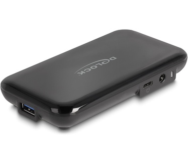 Delock 64209