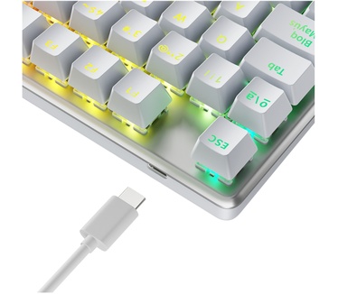 Newskill Gaming NS-KB-SERIKEV2-TKL-IVO