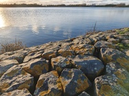 OnePlus 15 cameratest - Hoofdcamera overdag