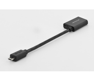 Assmann AK-300319-001-S