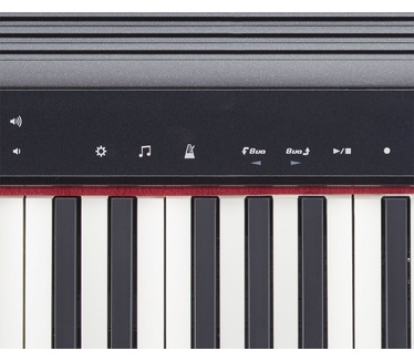 Roland GO:PIANO