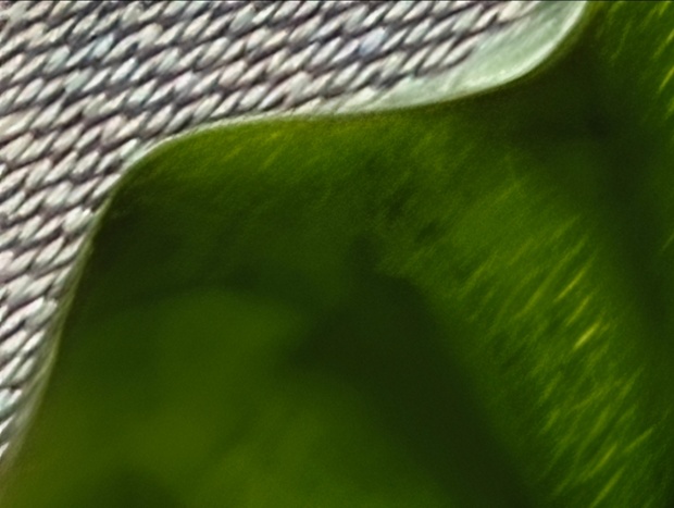 Afbeeldingslocatie: https://tweakers.net/i/1V6elZPMxKol6e5soXJ3EuPcpmE=/620x/filters:strip_icc():strip_exif()/m/916291/1Ub6On2DqGGu8U1KpkZ7dShPKchChAVNftVbWNCljiJA6nTIzo.jpeg?f=620xauto