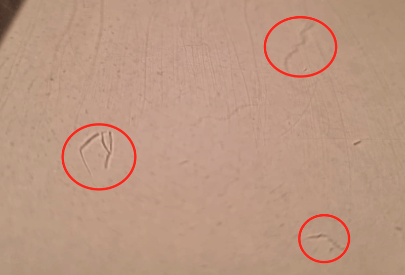 Afbeeldingslocatie: https://tweakers.net/i/1X83aRMLF_Ify7VVxpAESTywmbw=/800x/filters:strip_exif()/f/image/uOITzXDhCV8ywtBtruTLjujb.png?f=fotoalbum_large