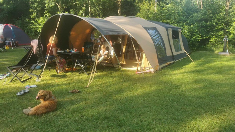 Afbeeldingslocatie: https://tweakers.net/i/1ZD85HJFuOSQ2IUHJA4m-Xl90v0=/800x/filters:strip_icc():strip_exif()/f/image/2fpDTl3Xg9F6dGcoMHwqzM6X.jpg?f=fotoalbum_large