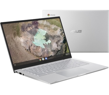 ASUS Chromebook C425TA-H50334