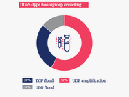 NBIP DDoS Data rapport 2018