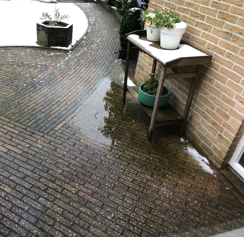 Afbeeldingslocatie: https://tweakers.net/i/1ah9XD0UnbLMNJVkcxw92BIZfHw=/800x/filters:strip_icc():strip_exif()/f/image/RnENSPtQIYqDdWqGP9XUQiWV.jpg?f=fotoalbum_large