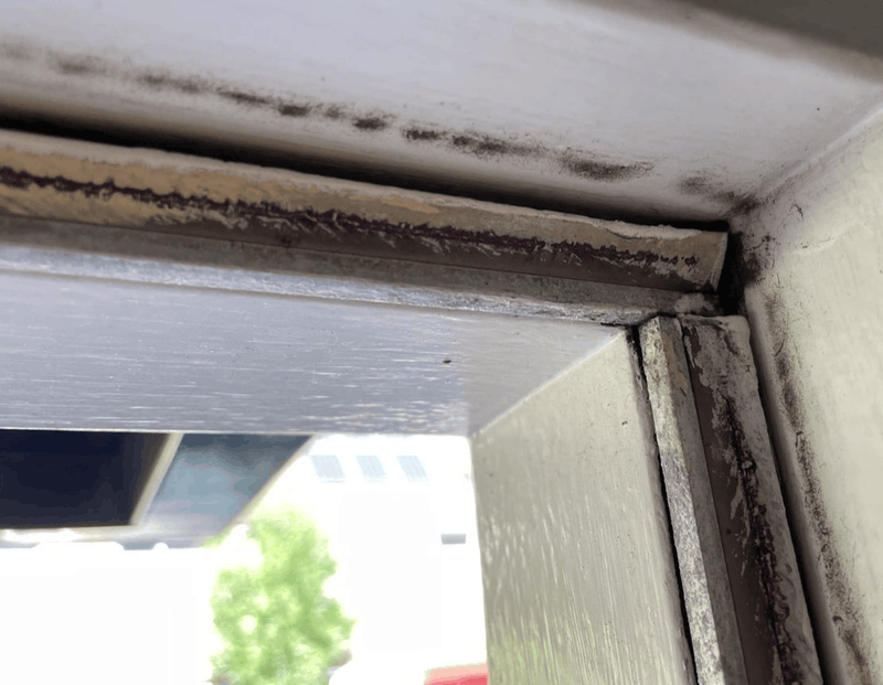 Afbeeldingslocatie: https://tweakers.net/i/1baWAMbcWhU07CfsutbdCJGoSj0=/800x/filters:strip_exif()/f/image/g4zEaW5vxh4y1c8GvaUJGlnM.png?f=fotoalbum_large