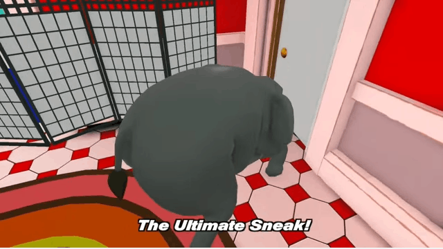 elephant in the room