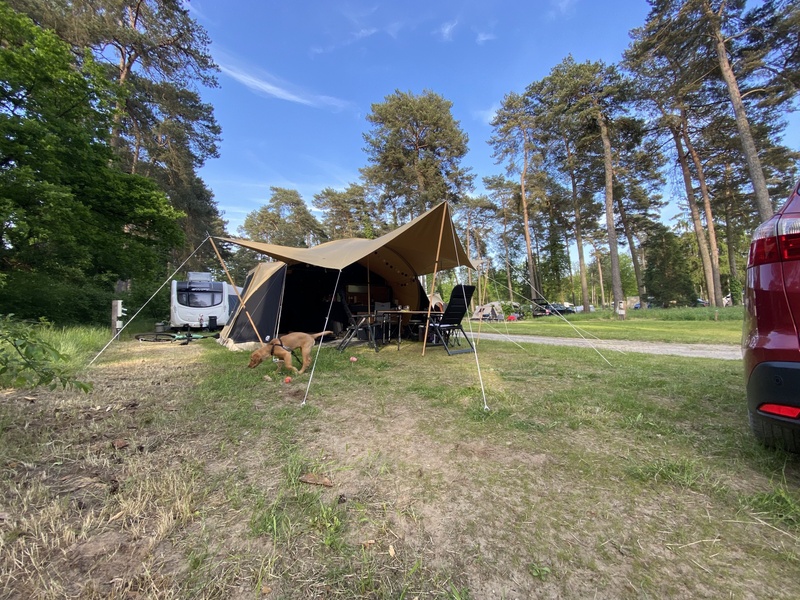 Afbeeldingslocatie: https://tweakers.net/i/1cazvJGLzdqAdknKjKVCwsgNpiI=/800x/filters:strip_icc():strip_exif()/f/image/ALX4GmbrNltujBmSpB310Phy.jpg?f=fotoalbum_large