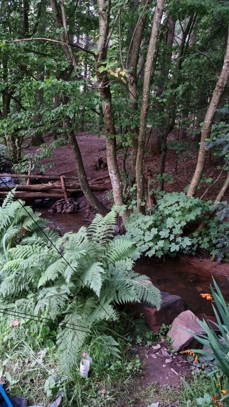 Afbeeldingslocatie: https://tweakers.net/i/1ctCgUAzkmoPh44qVKr02E4Xa1Y=/x800/filters:strip_icc():strip_exif()/f/image/1v9RCiRKLtcRJ8tCdWCGUzZT.jpg?f=fotoalbum_large