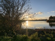 OnePlus 15 cameratest - Hoofdcamera overdag