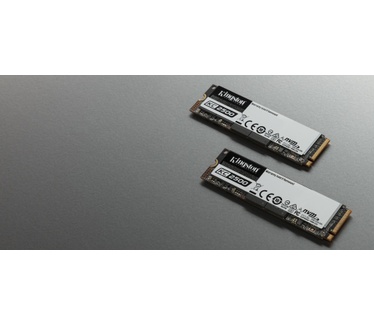 Kingston KC2500