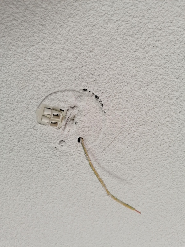 Afbeeldingslocatie: https://tweakers.net/i/1gMPe84zIaVp8HlvZU1AZHelyRU=/x800/filters:strip_icc():strip_exif()/f/image/mz6IiBM1AL584H2zD5woQe44.jpg?f=fotoalbum_large