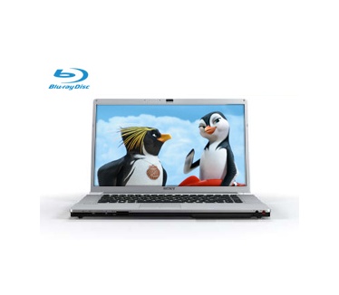 Sony Vaio VGN-FW31J