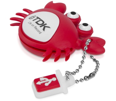 TDK 8GB