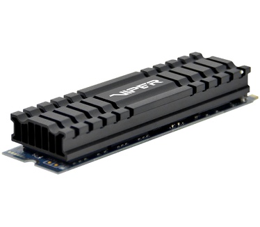 Patriot Memory VPN100
