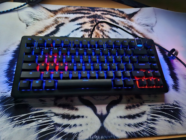 Afbeeldingslocatie: https://tweakers.net/i/1mv2GBdY7TFY5-SKXXtVk8k6jC8=/620x/filters:strip_icc():strip_exif()/m/2400918/1VkFCU9Qa7d5VsIhPDlD4ldKpBzxRxAmnF8YukSoSjefGBpSjy.jpeg?f=620xauto