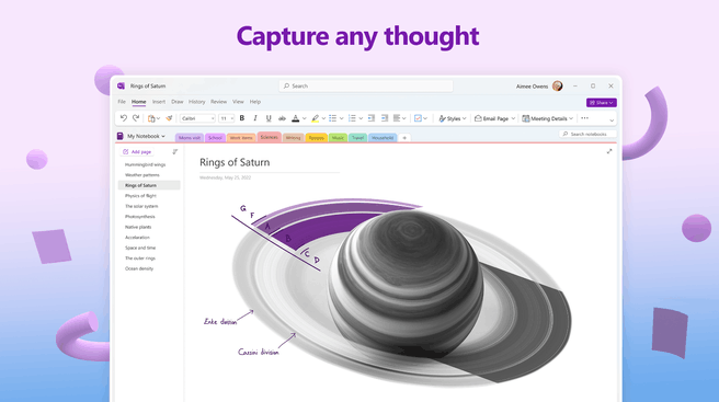 OneNote