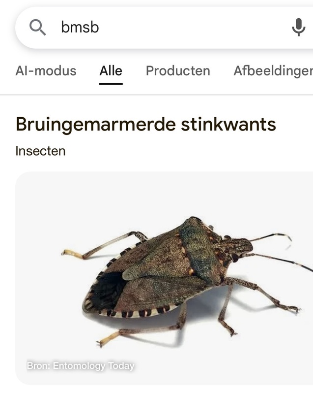 Afbeeldingslocatie: https://tweakers.net/i/1oIBu_SrVqe_1TTlxC3JT1o4bHY=/x800/filters:strip_icc():strip_exif()/f/image/URS8Qe47Qpyypgh04IHfurfJ.jpg?f=fotoalbum_large