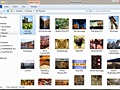 Ribbon in Windows Explorer