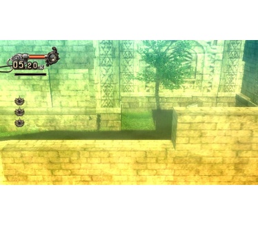 A Shadow's Tale