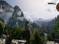 The Witcher 3 Medium