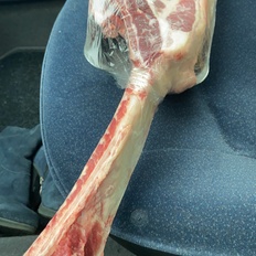 Afbeeldingslocatie: https://tweakers.net/i/1sHOsZ7Q30uq82irNHj3wnovcg4=/232x232/filters:strip_icc():strip_exif()/f/image/OdD9WhdgfIGepQdByeMhePj8.jpg?f=fotoalbum_tile