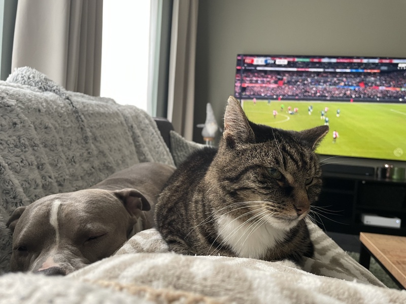 Afbeeldingslocatie: https://tweakers.net/i/1t8PpzwrEiVeqWM8kIT6DHqpyVI=/800x/filters:strip_icc():strip_exif()/f/image/bxyMkFhsBwuv8XNEFldOeW2F.jpg?f=fotoalbum_large