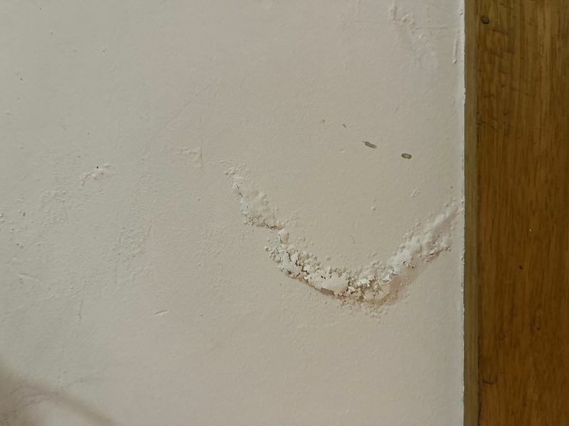 Afbeeldingslocatie: https://tweakers.net/i/1uHax0PciwIzw9Y7gWucjbOExQI=/800x/filters:strip_icc():strip_exif()/f/image/s1Ggp1wlSdRRj1NvzU2I5K5F.jpg?f=fotoalbum_large