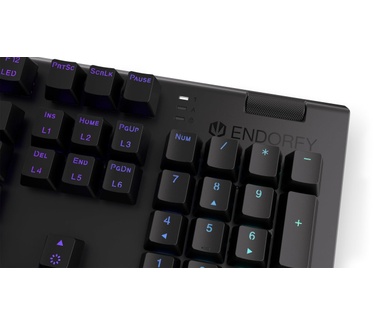 ENDORFY Omnis