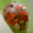 avatar van Nidus123