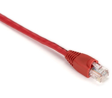 Black Box 10ft Cat5e
