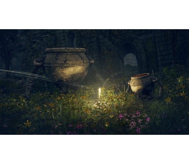 Elden Ring Collector's Edition