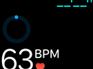 Apple Watch fitness features