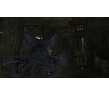 The Last Guardian
