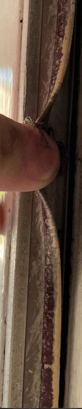 Afbeeldingslocatie: https://tweakers.net/i/1zIR-yB9Ttf-dmf0nsXN5B3iggY=/x800/filters:strip_exif()/f/image/34rKKFuofpAkH48T6yEKuLoI.png?f=fotoalbum_large