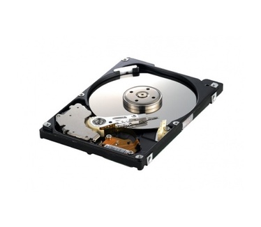 Samsung Spinpoint M HM320JI