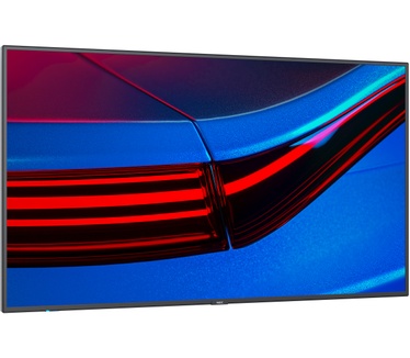 NEC P555