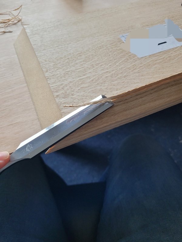 Afbeeldingslocatie: https://tweakers.net/i/260UOF8HgcetKfopG68grua7ewY=/x800/filters:strip_icc():strip_exif()/f/image/0mTrLeUMWsDoCxdSPRsClKZK.jpg?f=fotoalbum_large