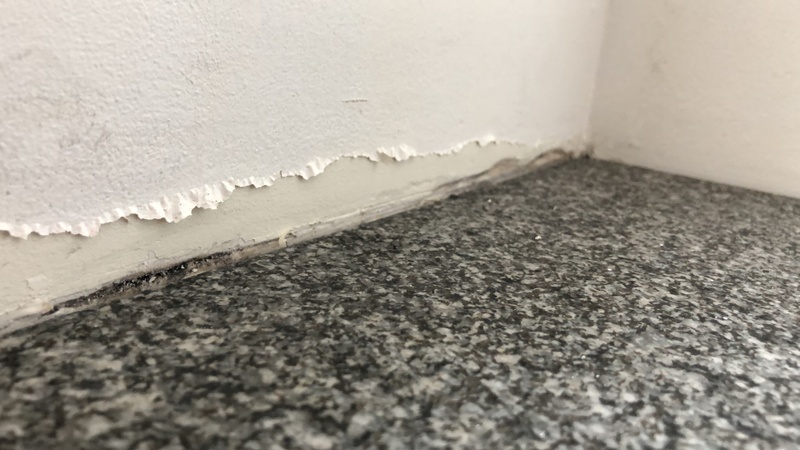 Afbeeldingslocatie: https://tweakers.net/i/2998aYa4z2oEuyMdTa0e8Gsd7NI=/800x/filters:strip_icc():strip_exif()/f/image/jvSmGKO5zBwxWdmdKxn4t6Pw.jpg?f=fotoalbum_large