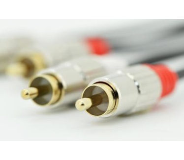Ednet Stereo 2xRCA, 10m