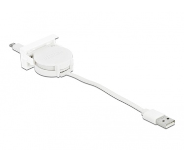 Delock 81319