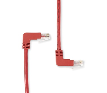 Black Box Cat6, UTP, 1ft