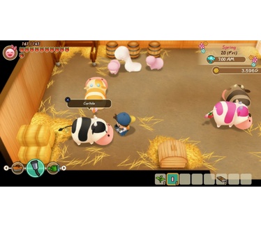 Story of Seasons: Friends of Mineral Town, Switch