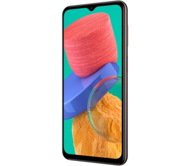 Samsung Galaxy M33 Bruin
